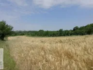 Prodaja, plac, 19m², Mislodjin, Obrenovac - image 4