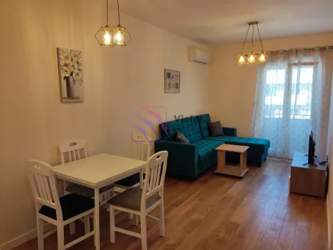 Izdavanje, jednosoban stan, 42m², Central Point, Podgorica - image 1