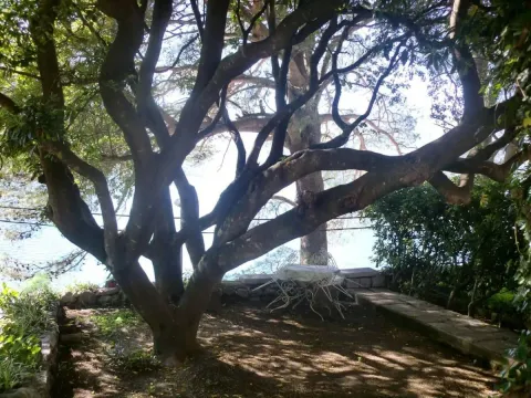 Prodaja, kuća, 129m², Kotor, Crna Gora - image 8