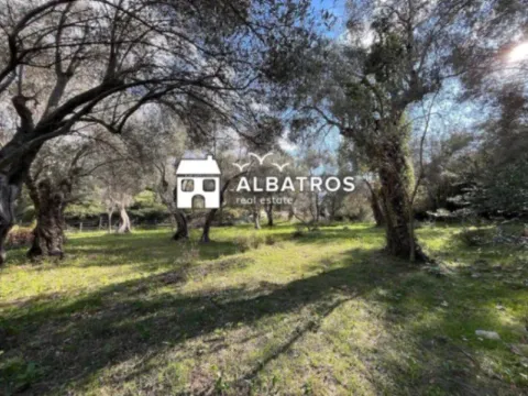 Prodaja, plac, 1014m², Bar, Crna Gora - image 4