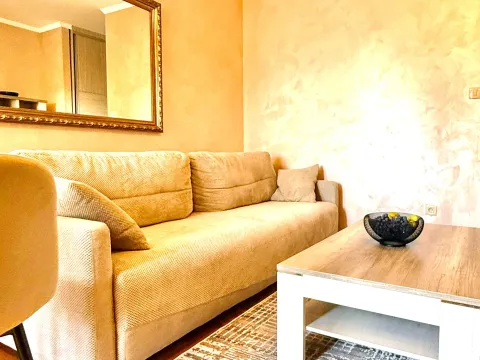 Rent, studio apartment, 30m², Tuški Put, Podgorica - image 1