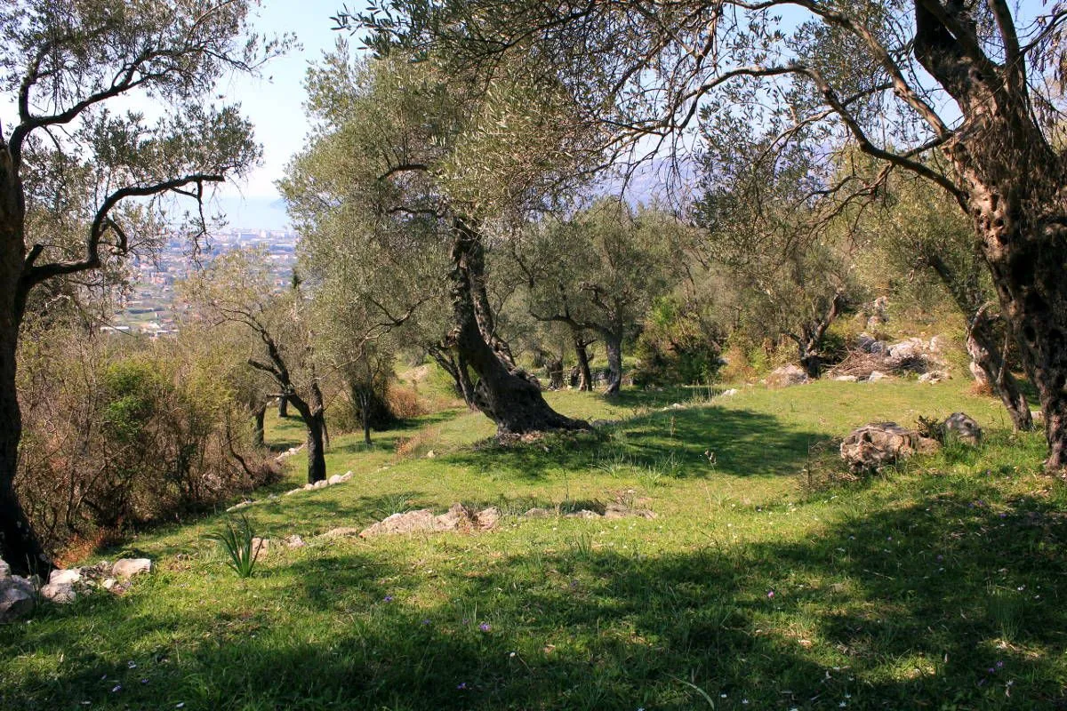 Prodaja, plac, 9409m², Bar, Crna Gora