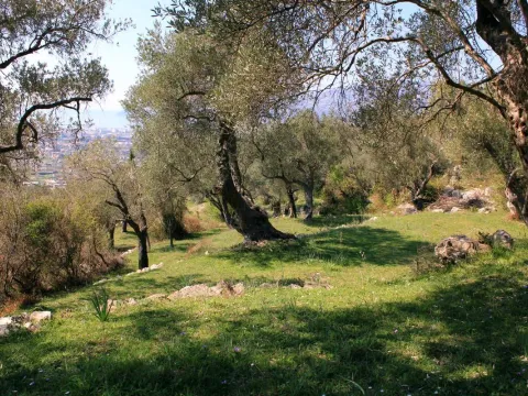 Prodaja, plac, 9409m², Bar, Crna Gora - image 2