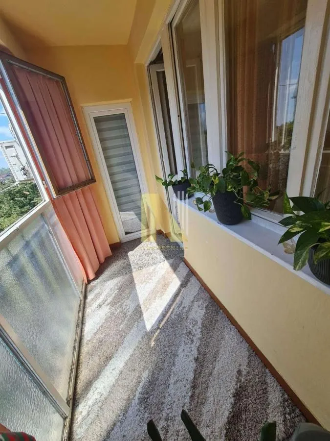 Zastakljeni balkon sa tepihom i sobnim biljkama.