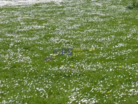 Prodaja, plac, 6000m², Bar, Crna Gora - image 2