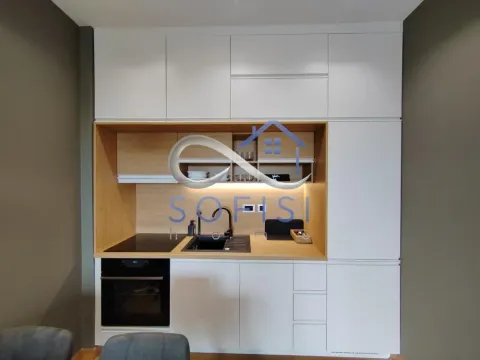Izdavanje, jednosoban stan, 45m², Adamovićevo Naselje, Novi Sad Sve Podlokacije - image 14