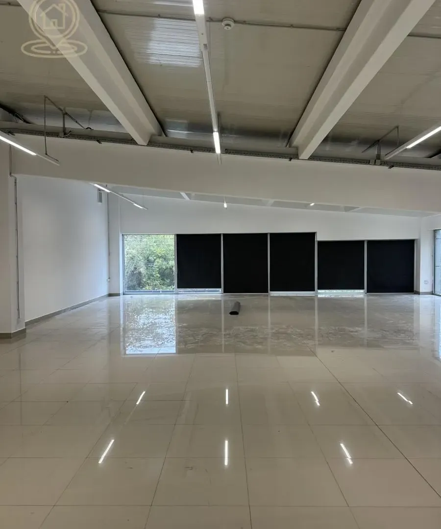 Izdavanje, poslovni prostor, 530m², Crveni Krst, Niš