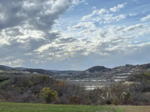 Sale, land lot, 24207m², Beočin, Srbija - image 5