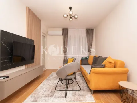 Rent, one bedroom apartment, 46m², Central Point, Podgorica - image 1