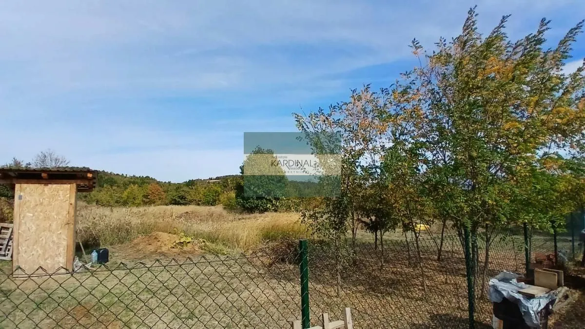 Ograđeno dvorište sa zelenilom i drvećem.