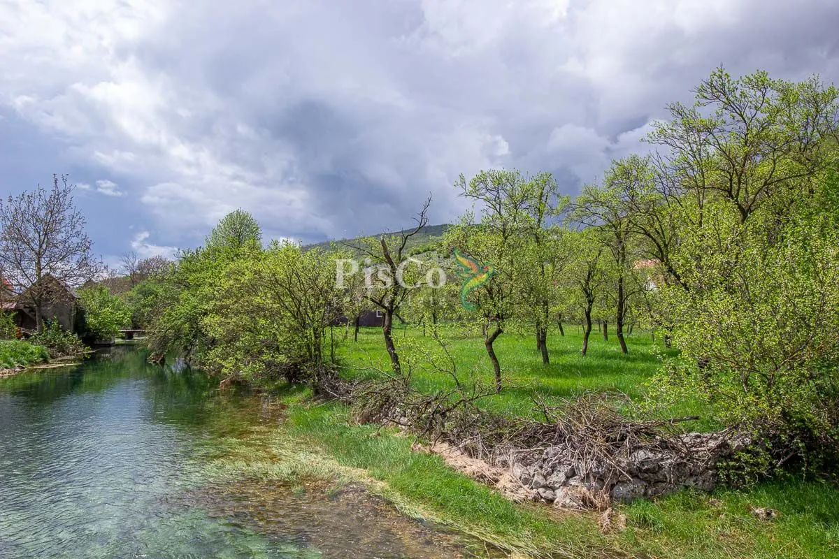Prodaja, plac, 1241m², Nikšić, Crna Gora