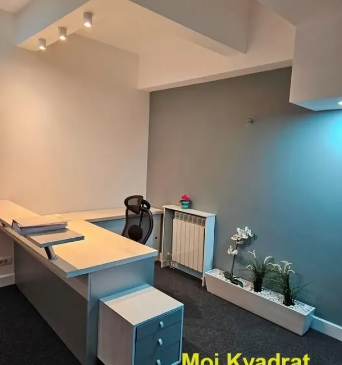 Prodaja, poslovni prostor, 90m², Vračar Hram, Vračar Sve Podlokacije