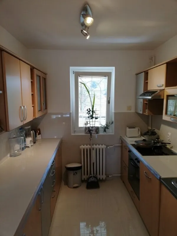 Izdavanje, kuća, 289m², Košutnjak, Beograd