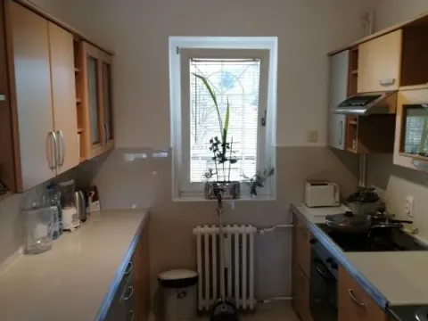 Izdavanje, kuća, 289m², Košutnjak, Beograd - image 3