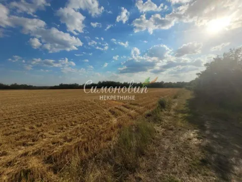 Prodaja, plac, 18100m², Krnješevci, Stara Pazova - image 2
