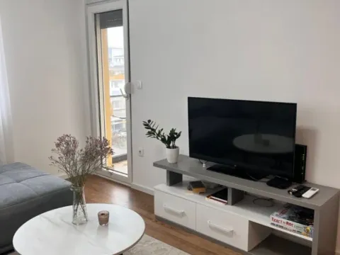 Izdavanje, jednosoban stan, 45m², Pobrežje, Podgorica - image 3