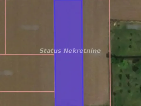 Prodaja, plac, 563m², Futog, Novi Sad Sve Podlokacije - image 1