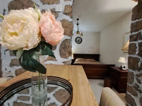 Izdavanje, garsonjera, 30m², Centar, Podgorica - image 5