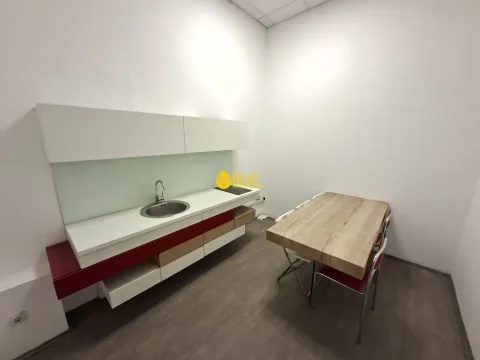 Izdavanje, poslovni prostor, 650m², Altina, Beograd - image 12