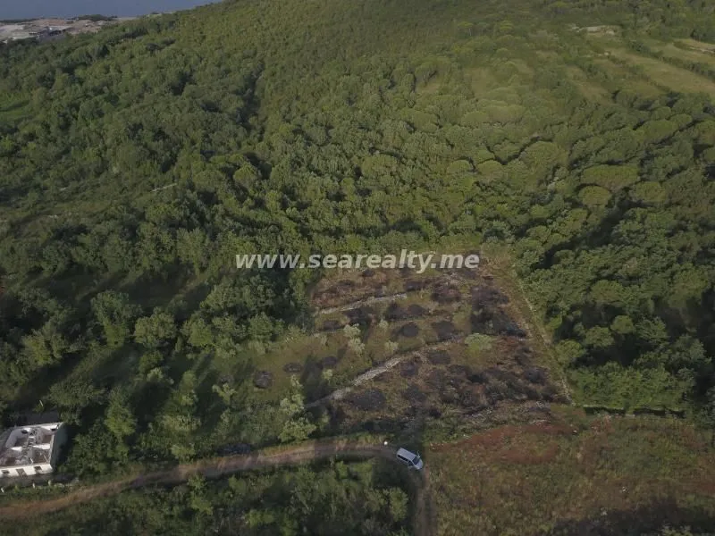 Prodaja, plac, 5600m², Krimovica, Kotor