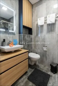 Izdavanje, dvosoban stan, 55m², Vračar Sve Podlokacije, Beograd - image 25