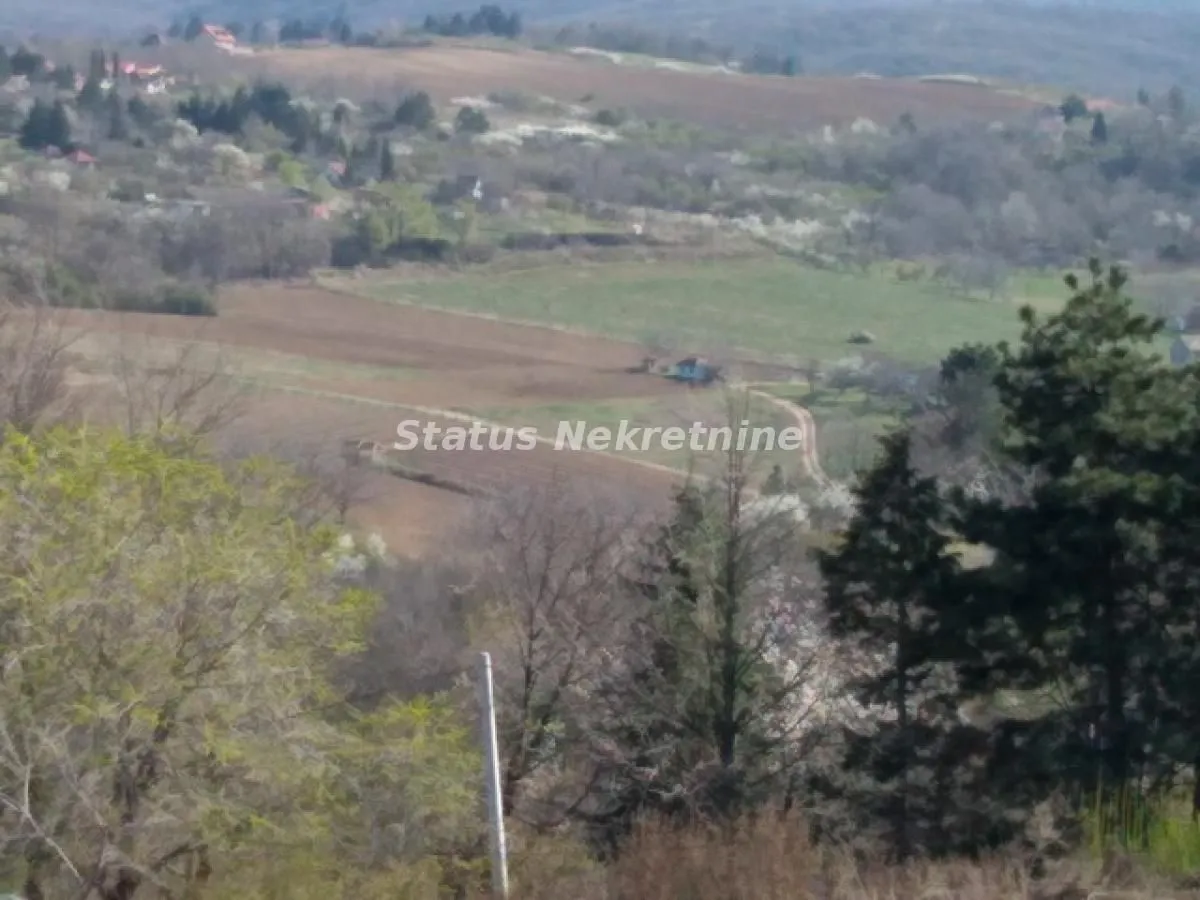 Prodaja, plac, 674m², Sremska Kamenica, Petrovaradin