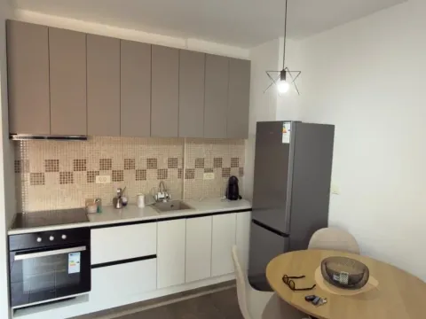 Rent, one bedroom apartment, 47m², Zabjelo, Podgorica - image 5