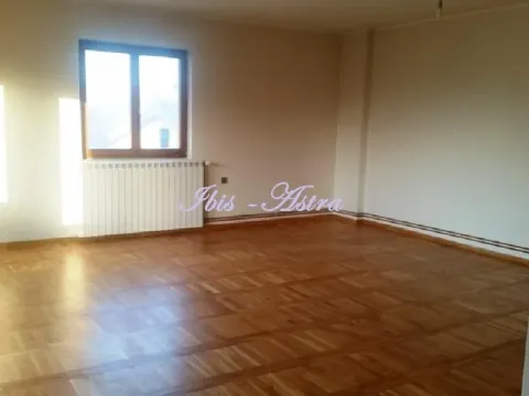 Izdavanje, stan, 200m², Banjica, Voždovac Sve Podlokacije - image 3
