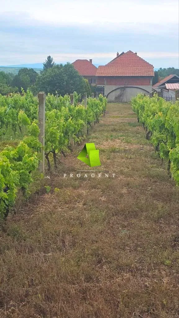 Prodaja, kuća, 180m², Dobrujevac, Boljevac