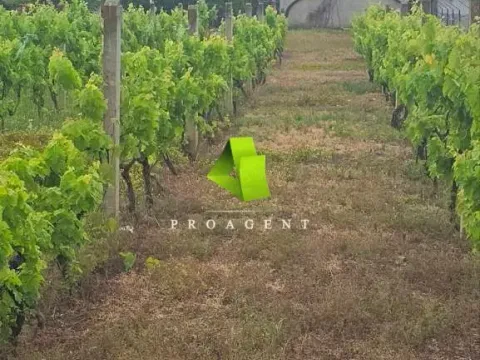 Prodaja, kuća, 180m², Dobrujevac, Boljevac - image 7