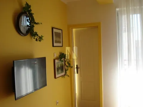 Rent, one bedroom apartment, 28m², Nova Detelinara, Novi Sad Sve Podlokacije - image 10