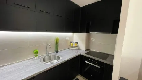 Rent, one bedroom apartment, 59m², Central Point, Podgorica - image 221