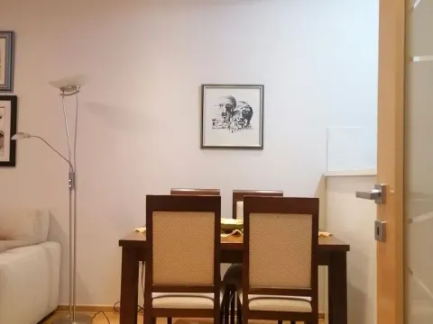 Rent, one bedroom apartment, 50m², Preko Morače, Podgorica - image 4