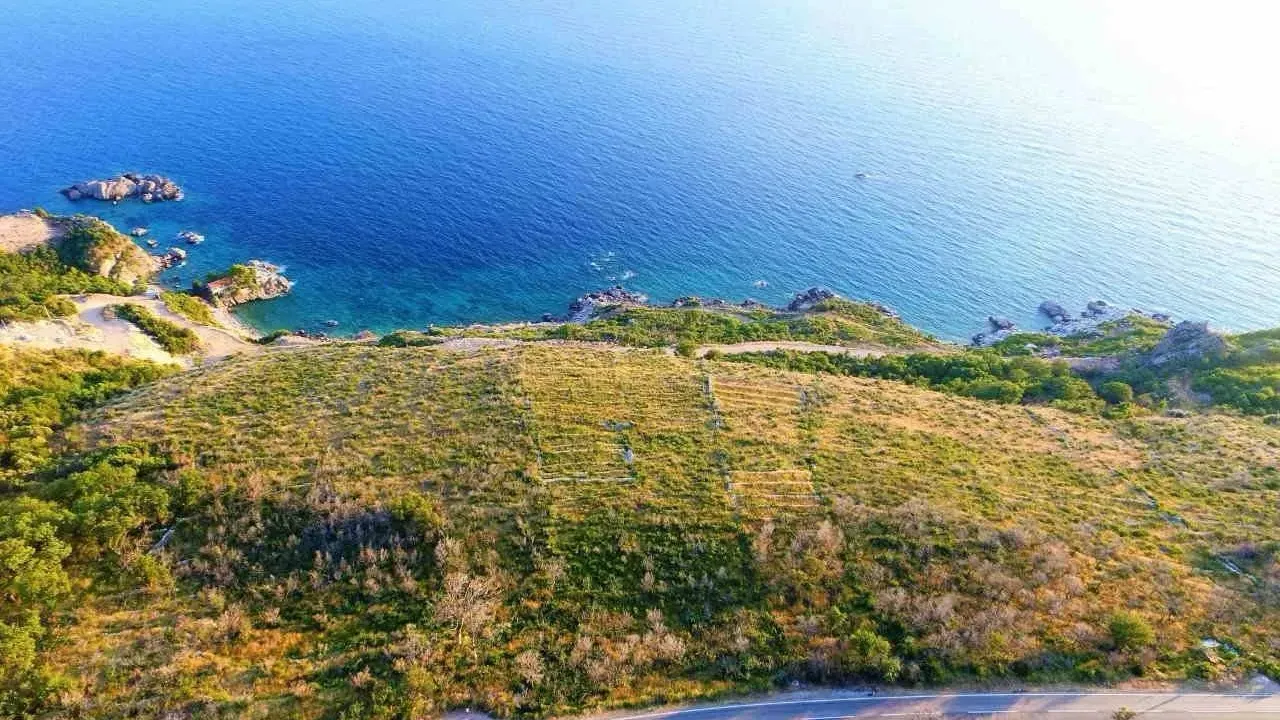 Sale, land lot, 8000m², Reževići, Budva