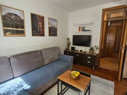 Izdavanje, jednosoban stan, 38m², Pod Goricom, Podgorica - image 3