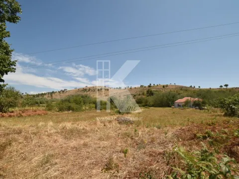 Sale, house, 240m², Dahna, Podgorica - image 42