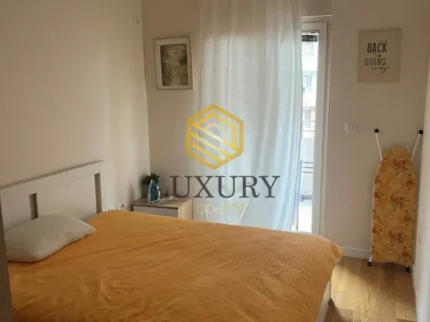 Izdavanje, jednosoban stan, 49m², Central Point, Podgorica - image 5