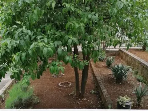 Prodaja, kuća, 196m², Utjeha, Ulcinj - image 11