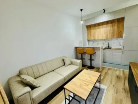 Prodaja, jednosoban stan, 34m², Zabjelo, Podgorica - image 6