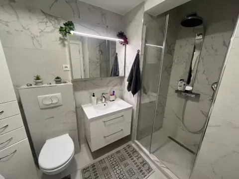Modernly equipped bathroom with a walk-in shower, washbasin, and built-in sanitary ware. - image 5