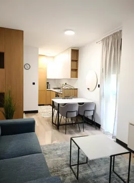 Rent, one bedroom apartment, 43m², Zagorič, Podgorica - image 7