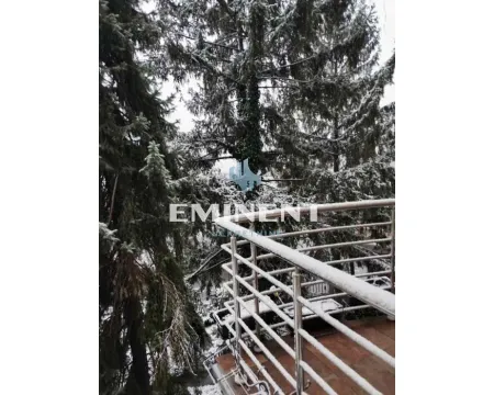 View of the surrounding trees from a snow-covered balcony. - image 10
