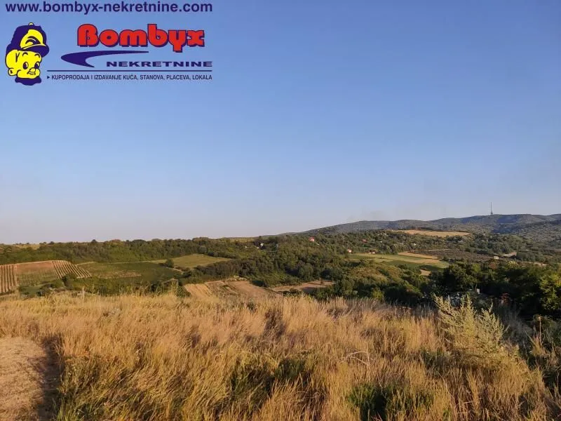 Prodaja, plac, 2000m², Sremska Kamenica, Petrovaradin