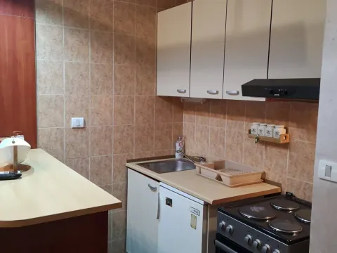 Izdavanje, garsonjera, 25m², Stari Aerodrom, Podgorica - image 4