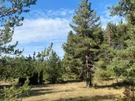 Prodaja, plac, 59443m², Žabljak, Crna Gora - image 2