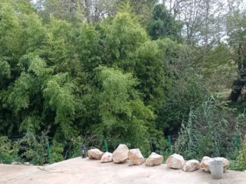 Sale, house, 70m², Šušanj, Bar - image 3