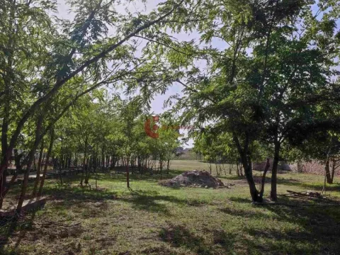 Sale, house, 320m², Kelebija, Subotica - image 6