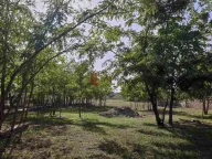 Prodaja, kuća, 320m², Kelebija, Subotica - image 6