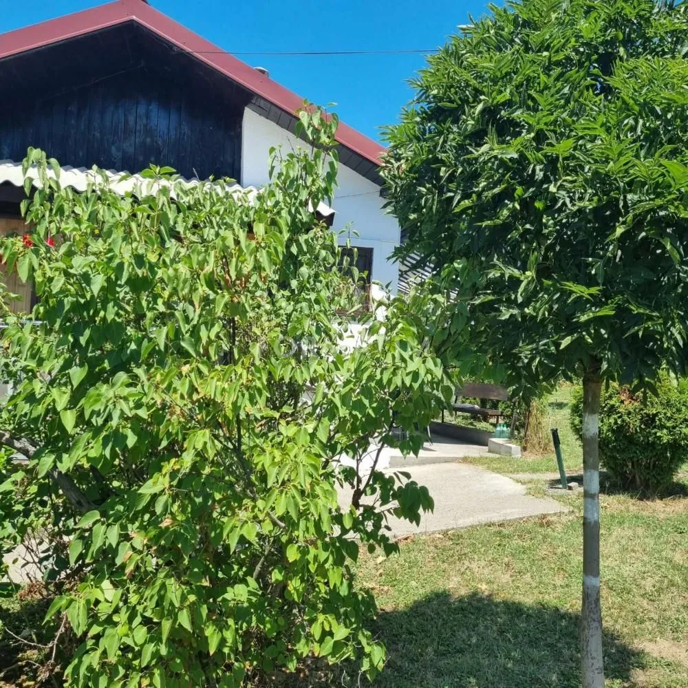 Prodaja, kuća, 41m², Baćevac, Barajevo