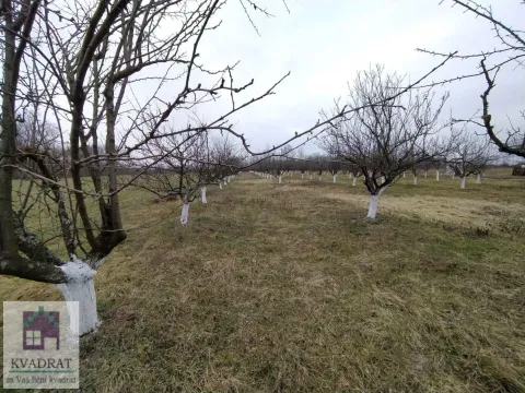 Prodaja, plac, 5800m², Banjani, Ub - image 7